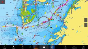 Electronic Navigation