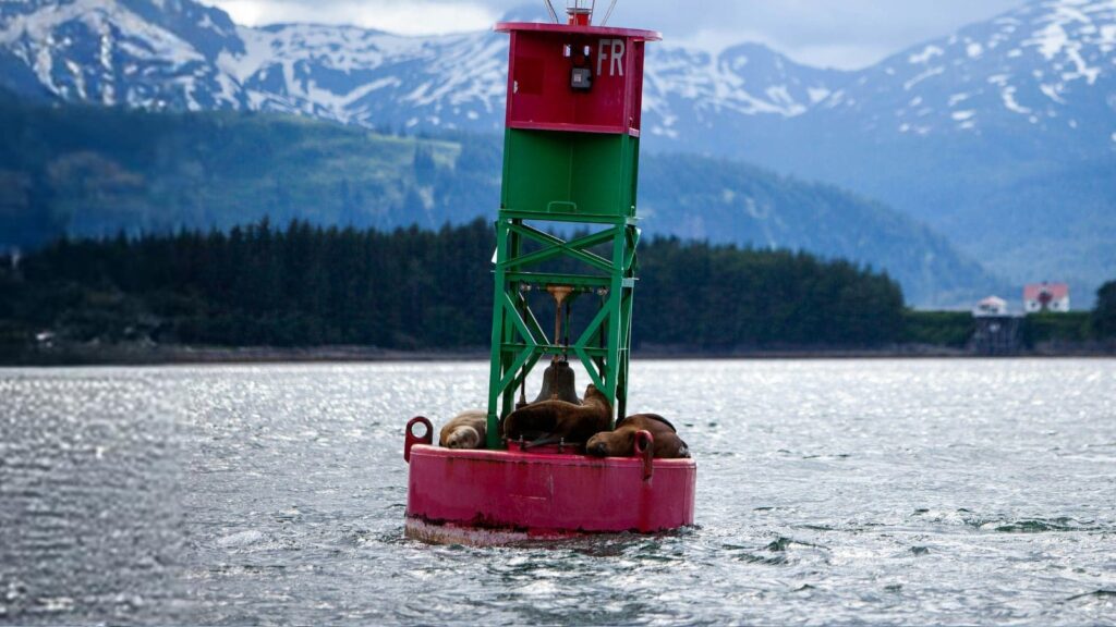 Boating Rules & Navigation Aids