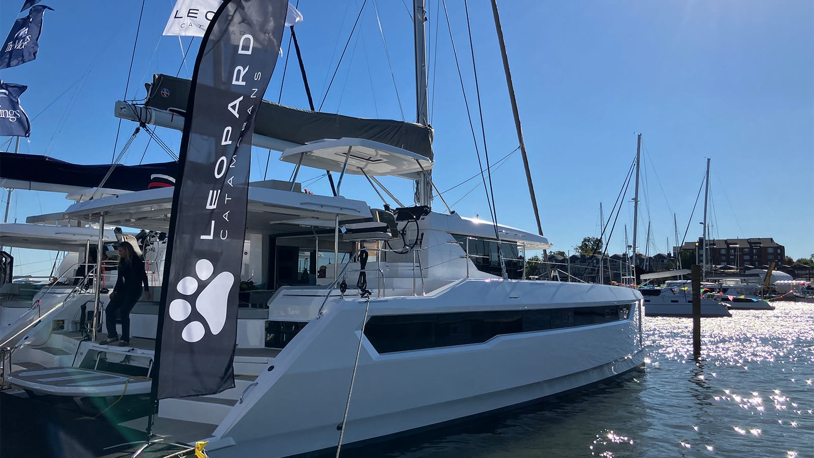 The Future of Cruising