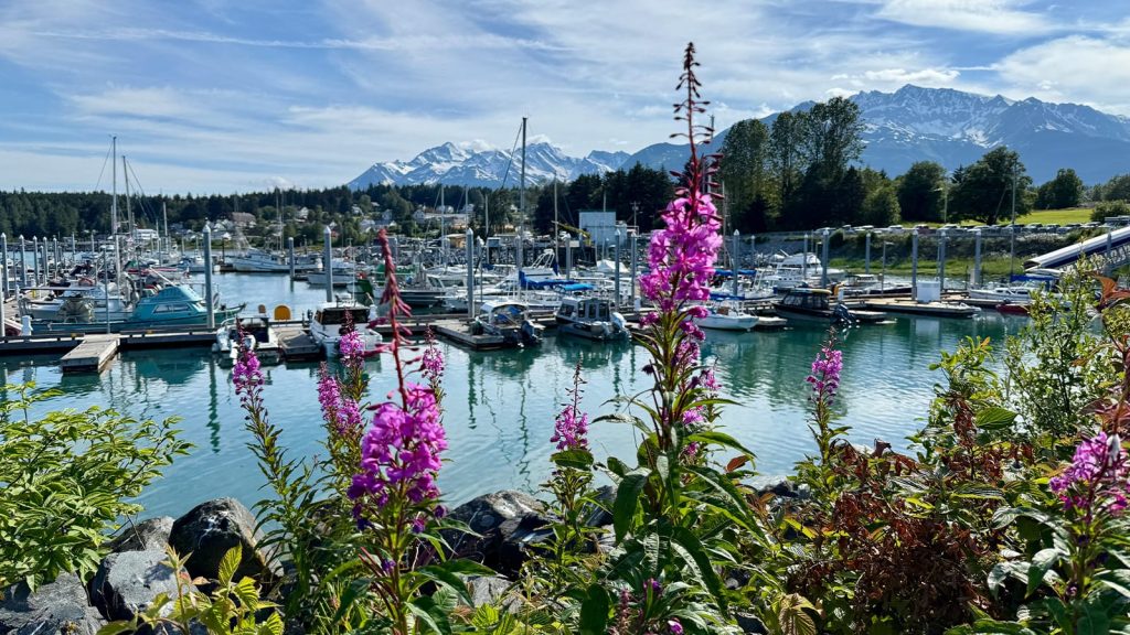 Learn what makes Pacific Northwest cruising unique with insights, tips, and guidance from the San Juans to Southeast Alaska.