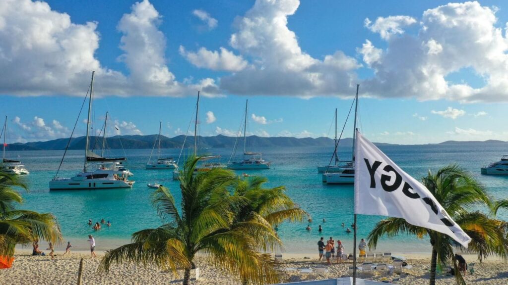 A view from a beach showing sailboats and a palm tree