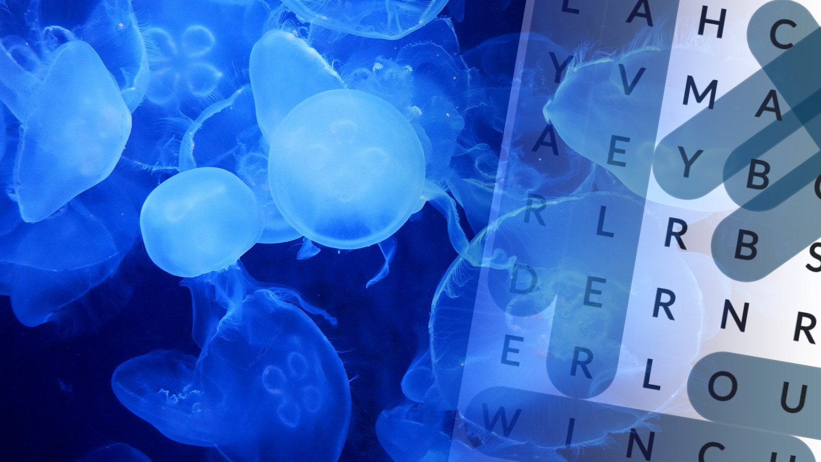 WS Marine Biology_