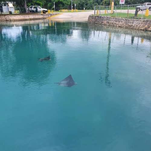 2024-04-985-saipan-sailing-school-gallery-1200px-15