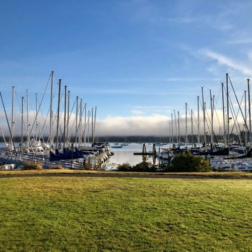Marina Plaza Yacht Harbor Modern Sailing School & Club photo by Mary Elkins