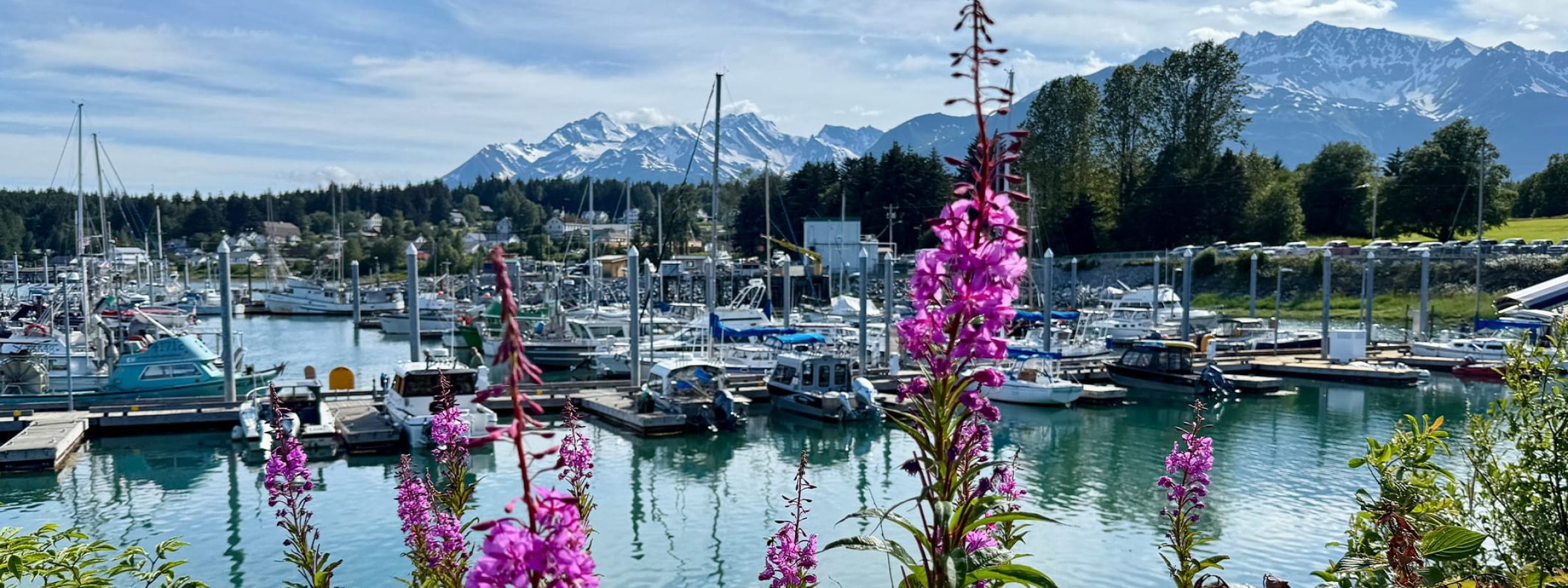 Online-Class-2026-01-Sailing-the-Pacific-Northwest-Featured-2400x800