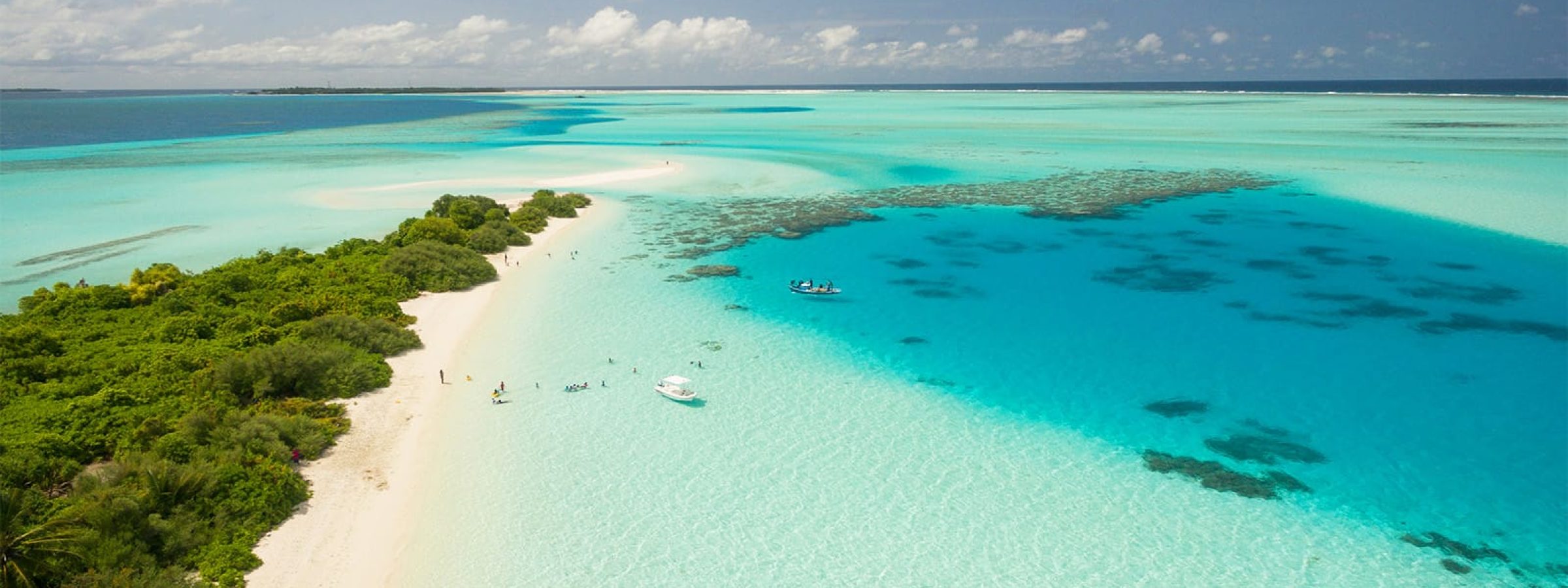 Online-Class-2026-05-Caribbean-to-Florida-Jeff-Jean-Featured-1600x900