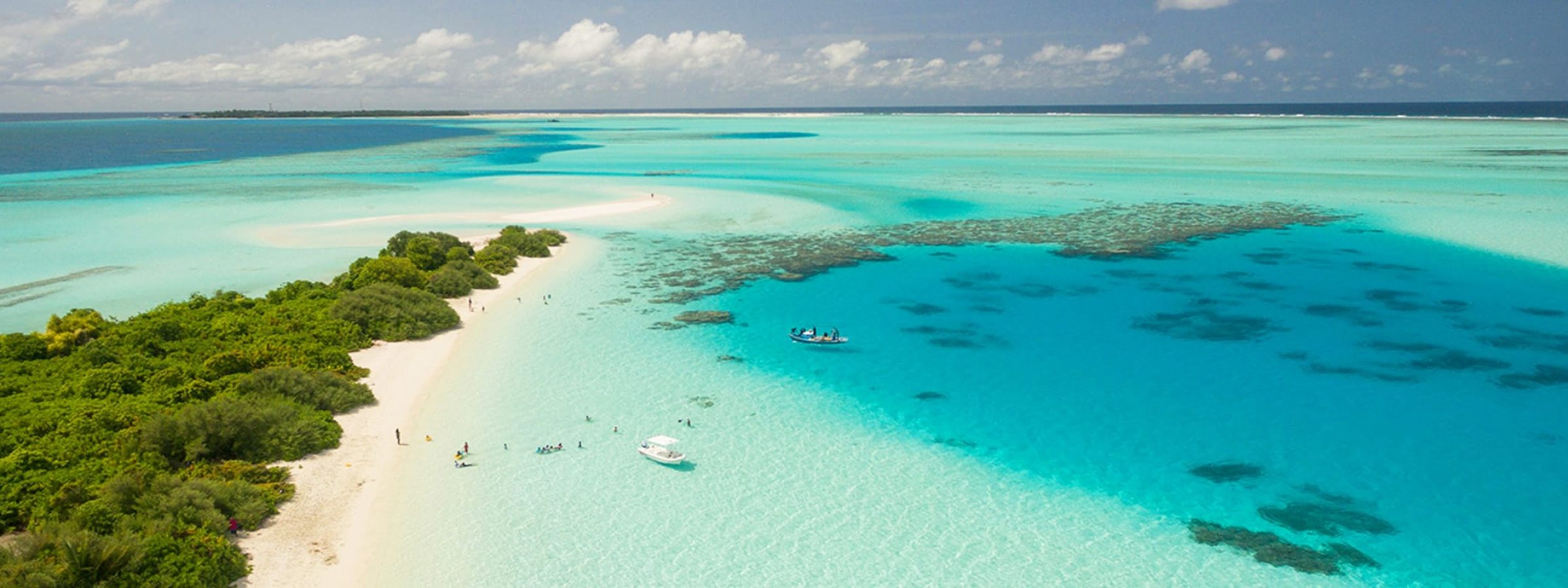 Online-Class-2026-05-Caribbean-to-Florida-Jeff-Jean-Featured-2400x800