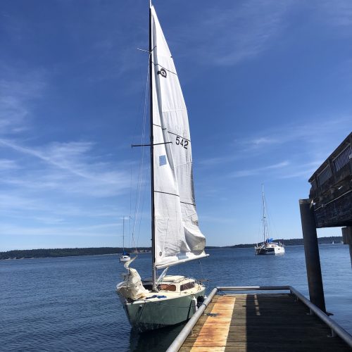 Sail Port Townsend - IMG_5017