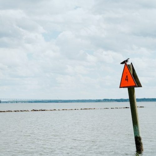 SailandSurf, VA - American Sailing School - 10