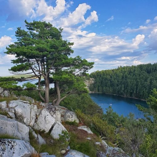 School-1002-Nautical Spirit-ON-03