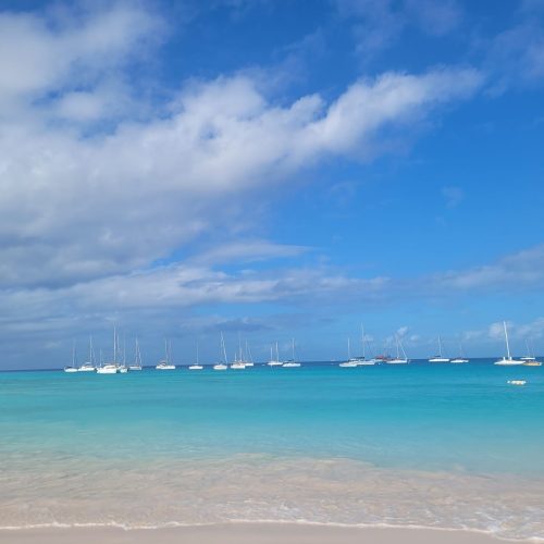 School-1030-Adventure Sailing School-BB-07