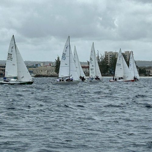 School-1030-Adventure Sailing School-BB-14