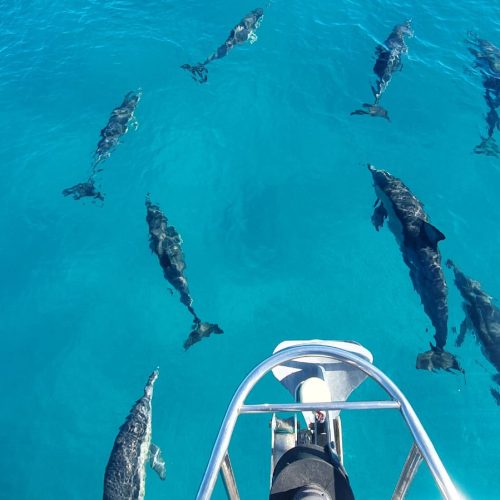 School-1035-Aussie Sailing Co-QLD-AUS-31