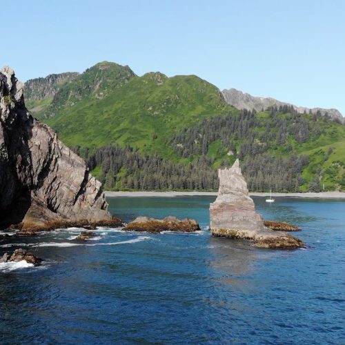 School-1040-Resurrection-Bay-Sailing-Charters-AK-Gallery-03