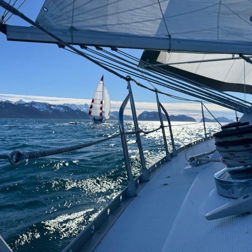 School-1040-Resurrection-Bay-Sailing-Charters-AK-Gallery-04