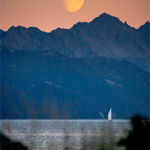 School-1040-Resurrection-Bay-Sailing-Charters-AK-Gallery-05