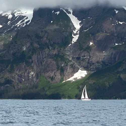 School-1040-Resurrection-Bay-Sailing-Charters-AK-Gallery-08
