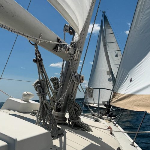 School-486-Reef-Runners-Sailing-School-Gallery-16