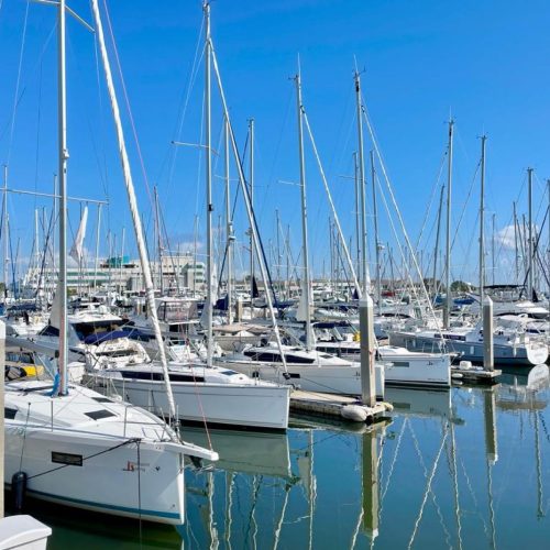 School-563-Intelligent Sailing-FL-02