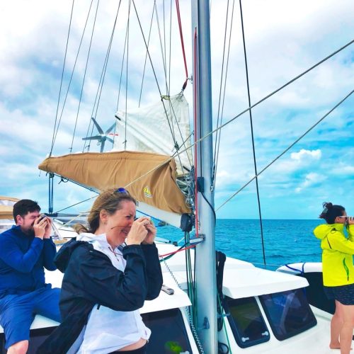 School-595-Black Rock Sailing School-VI-05