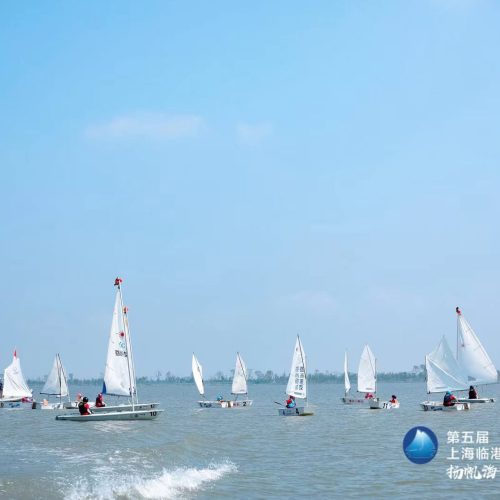 School-709-Shanghai-Sailing-Club-Shanghai-China-01