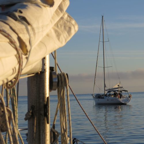 School-762-Sail Channel Islands-CA-40