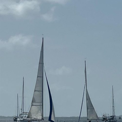 School-88-Shake-A-Leg-Miami-gallery-01