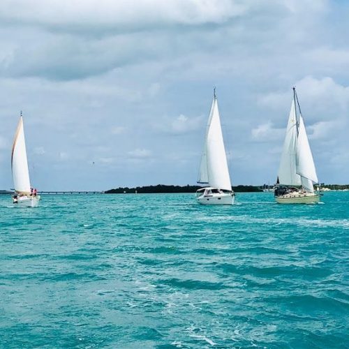 School-944-Coconut Grove Sailing School-FL-08