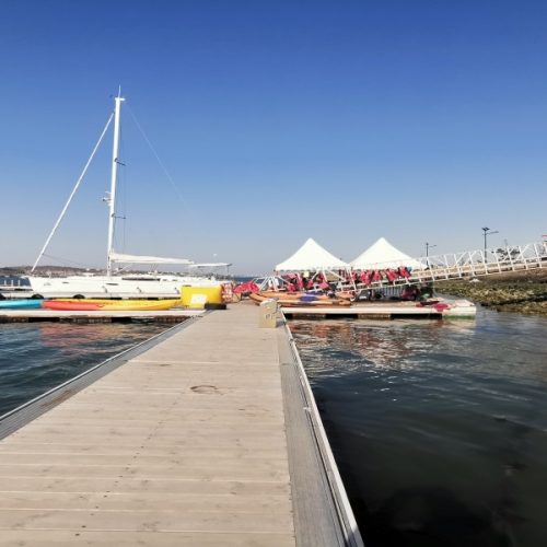 School-954-Yantai MF Sailing Club-China-03