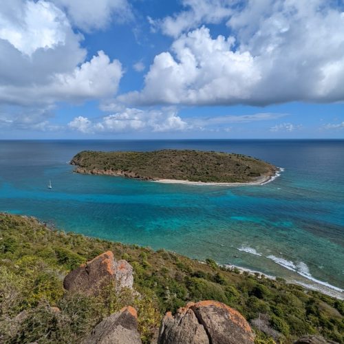 School-994-First Reef Sailing-VI-01