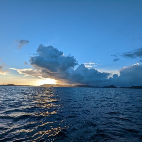 School-994-First Reef Sailing-VI-12