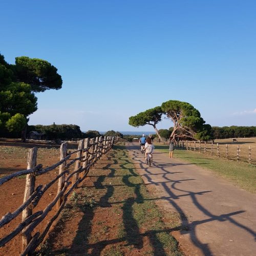 School-Adriatic Sailing-Croatia-03