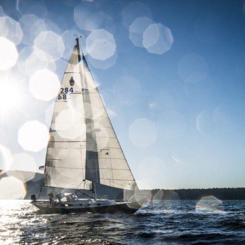 School-Chariot Adventures-WA-06