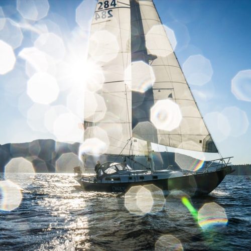 School-Chariot Adventures-WA-07