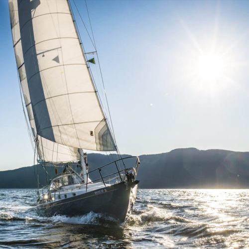 School-Chariot Adventures-WA-08