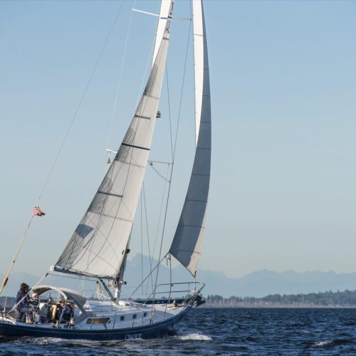 School-Chariot Adventures-WA-09