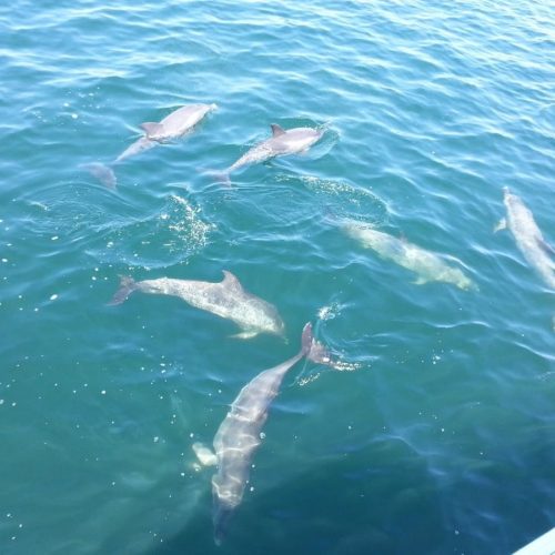 School-EmeraldCoastYachts-FL-02