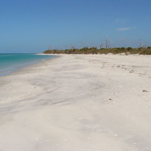 School-Florida Sailing Cruising School-FL-07