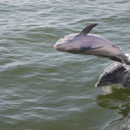 School-Florida Sailing Cruising School-FL-08
