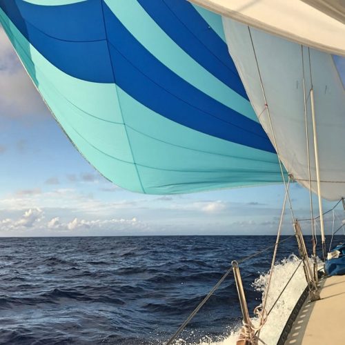 School-Griffin Bay Adventures-WA-11