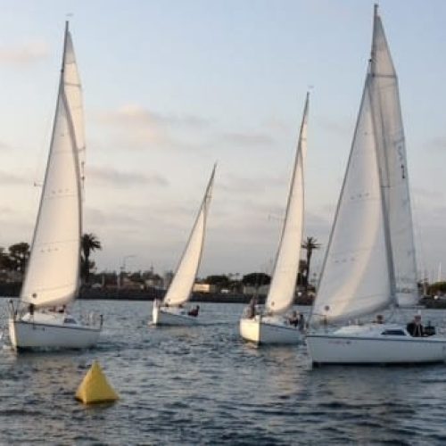 School-Harbor Sailboats-CA-02