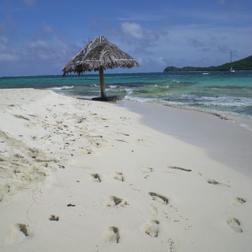 School-LTDSailing-Caribbean-08