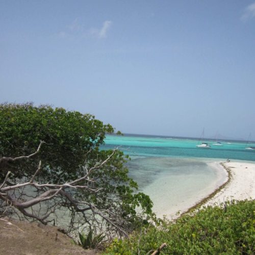 School-LTDSailing-Caribbean-10