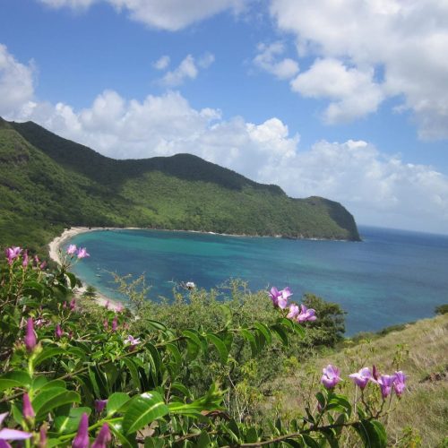 School-LTDSailing-Caribbean-11