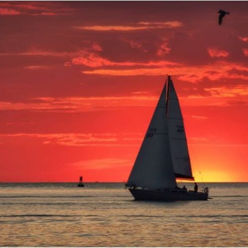 School-Sail Buffalo-NY-10