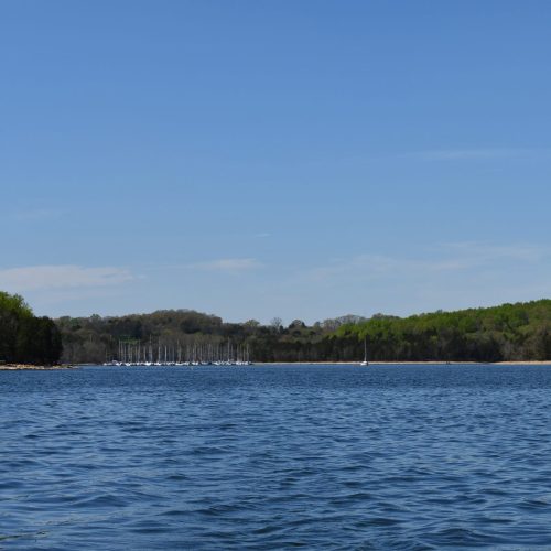 Hamilton Creek Slips