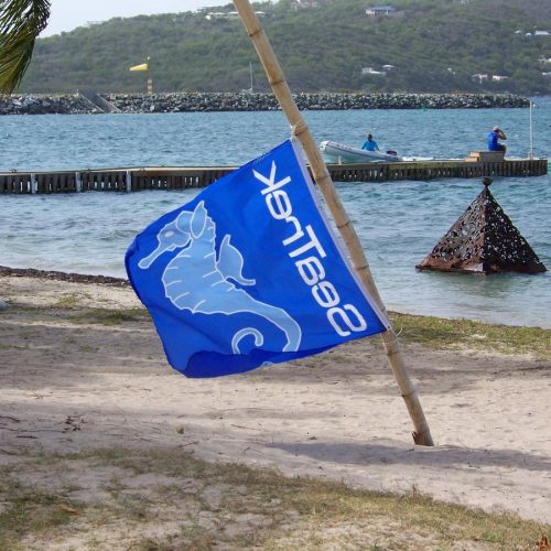 School-SeaTrek-BVI-01