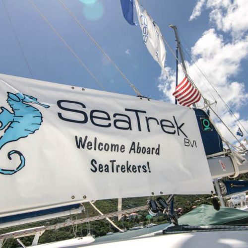 School-SeaTrek-BVI-09