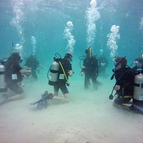 School-SeaTrek-BVI-12