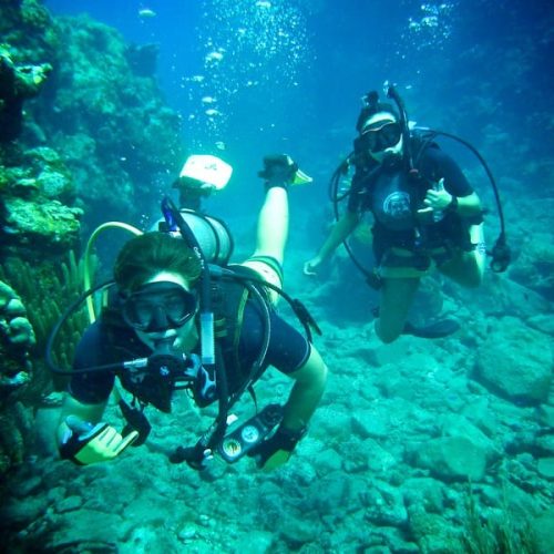 School-SeaTrek-BVI-13